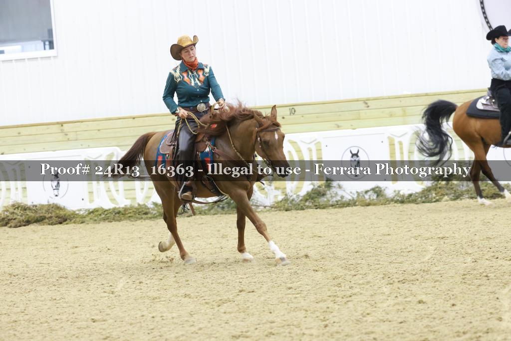 Proof Number 24R13_16363