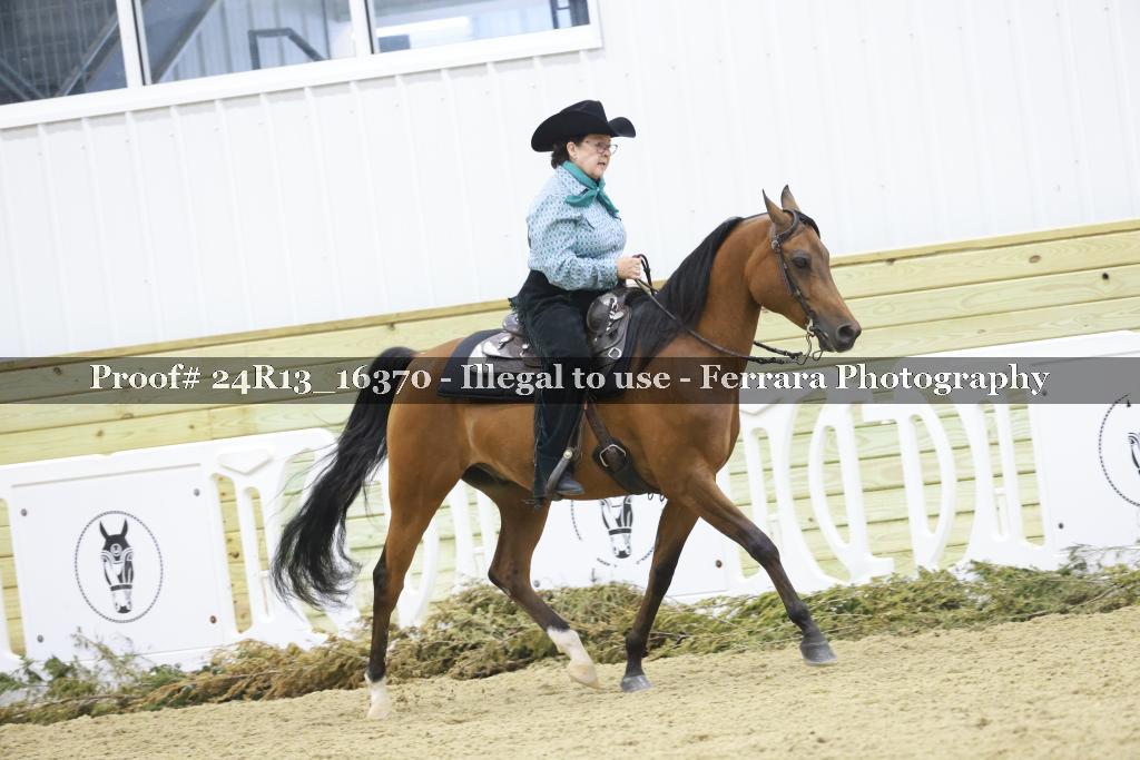 Proof Number 24R13_16370
