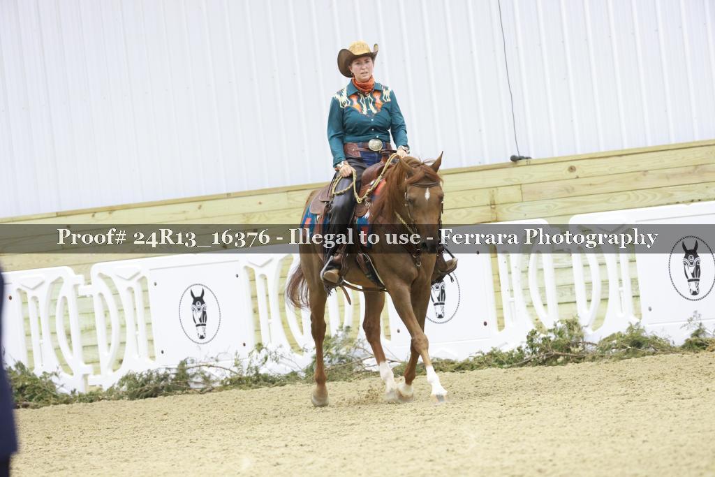 Proof Number 24R13_16376