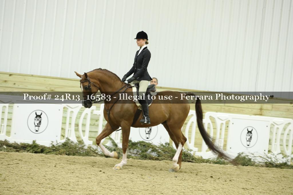 Proof Number 24R13_16583