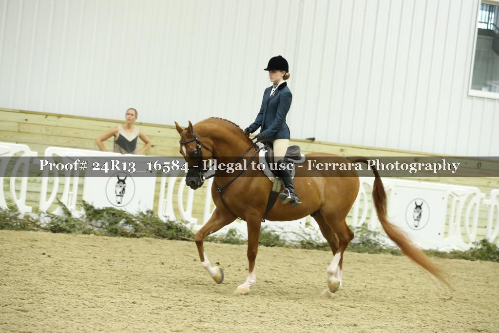 Proof Number 24R13_16584