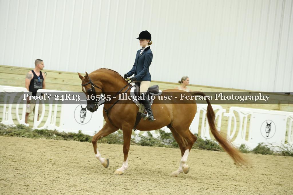Proof Number 24R13_16585