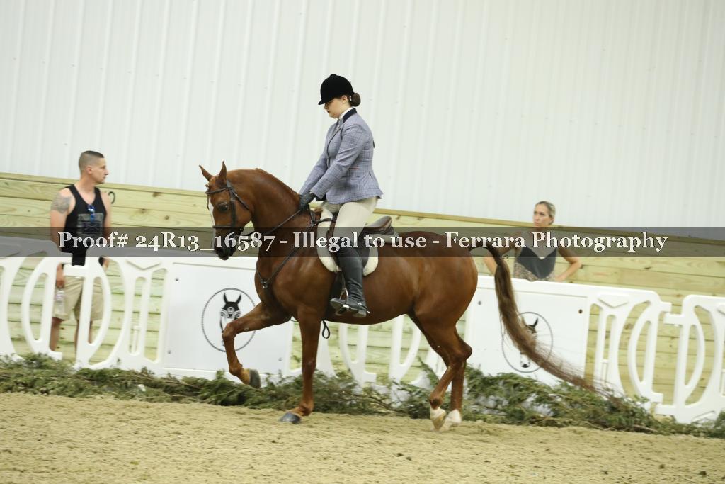 Proof Number 24R13_16587