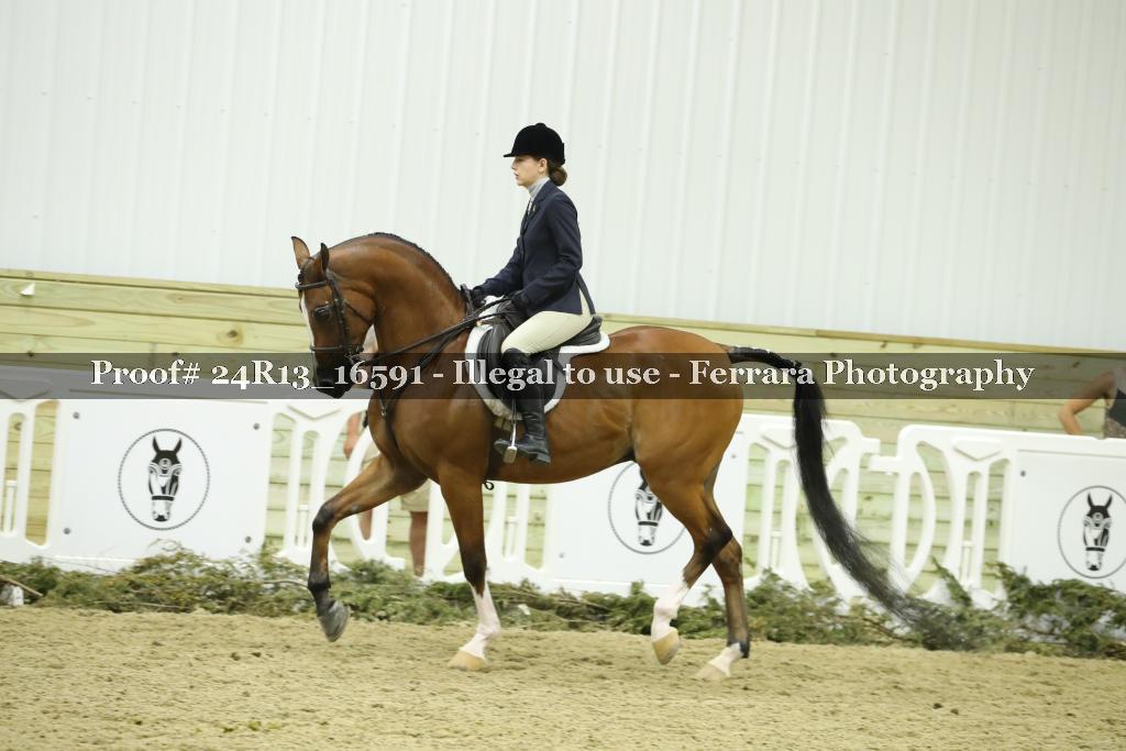 Proof Number 24R13_16591