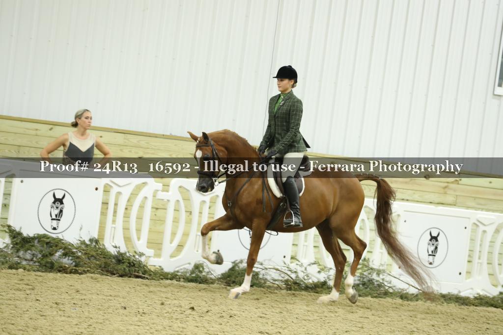 Proof Number 24R13_16592