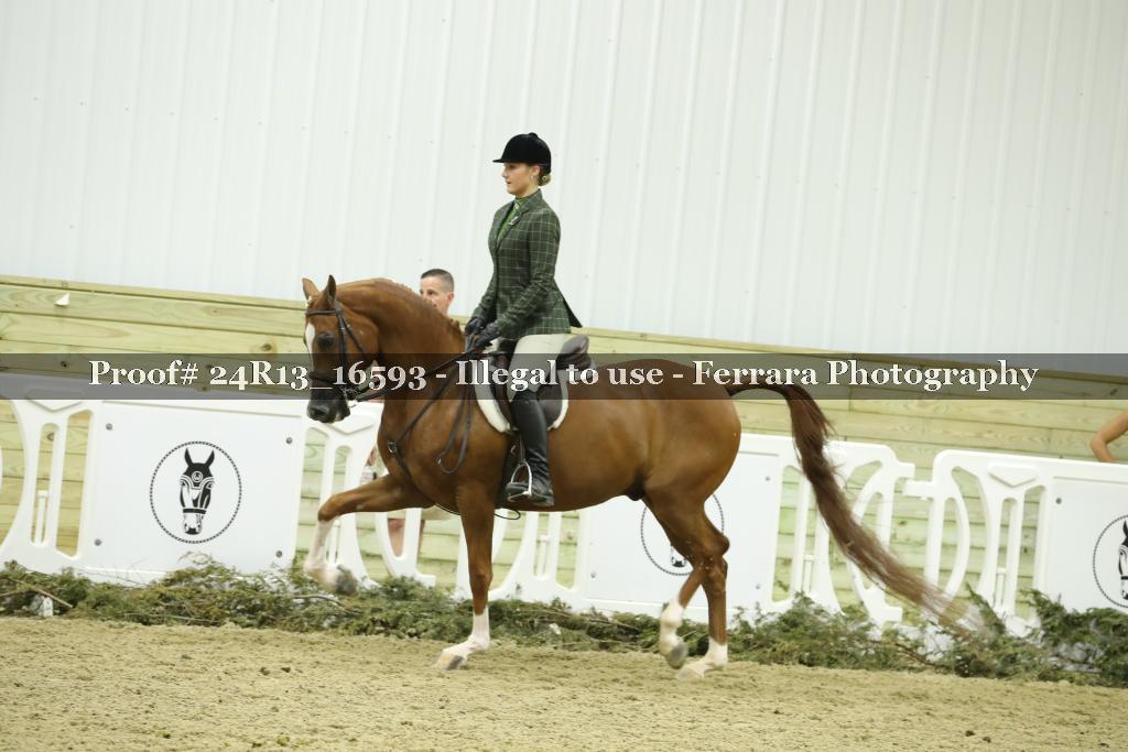 Proof Number 24R13_16593