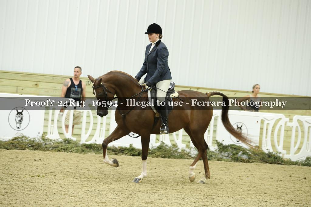 Proof Number 24R13_16594