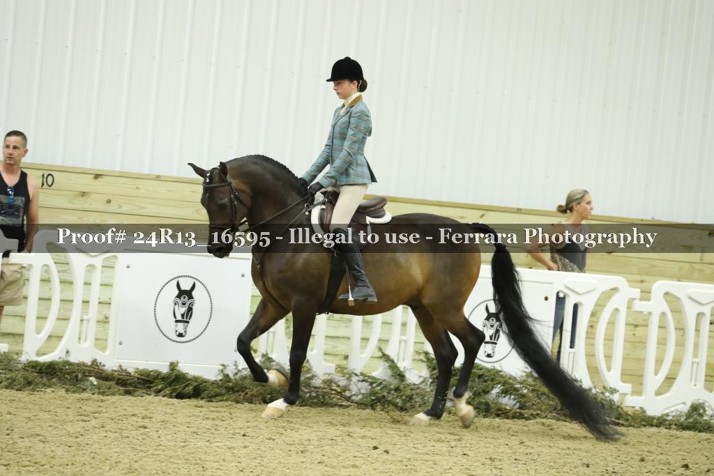 Proof Number 24R13_16595