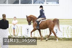 24R13_16599 thumbnail