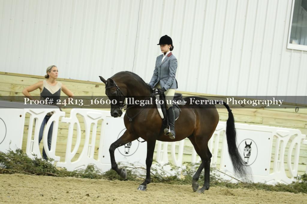 Proof Number 24R13_16600