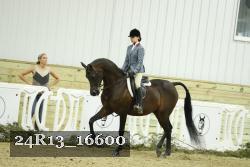 24R13_16600 thumbnail