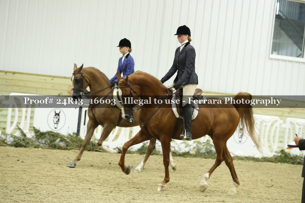 Proof Number 24R13_16603