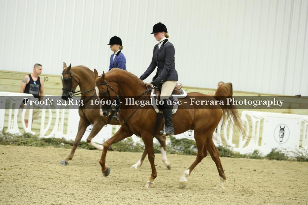 Proof Number 24R13_16604