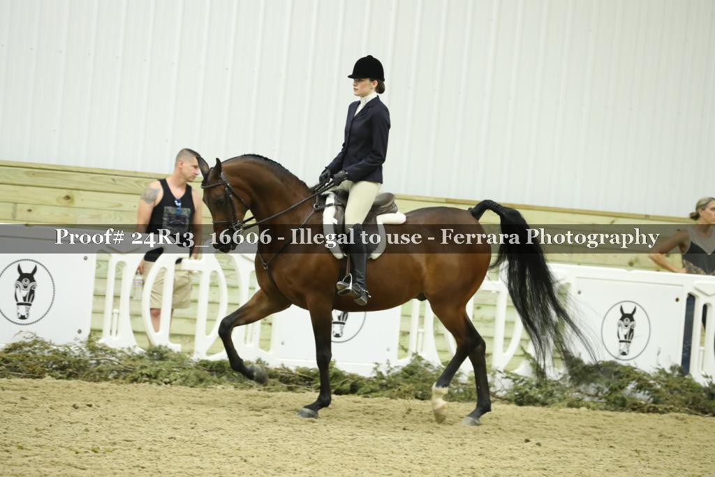 Proof Number 24R13_16606
