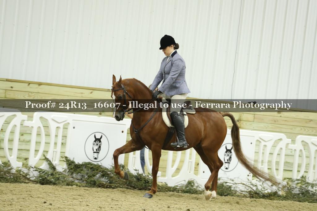 Proof Number 24R13_16607