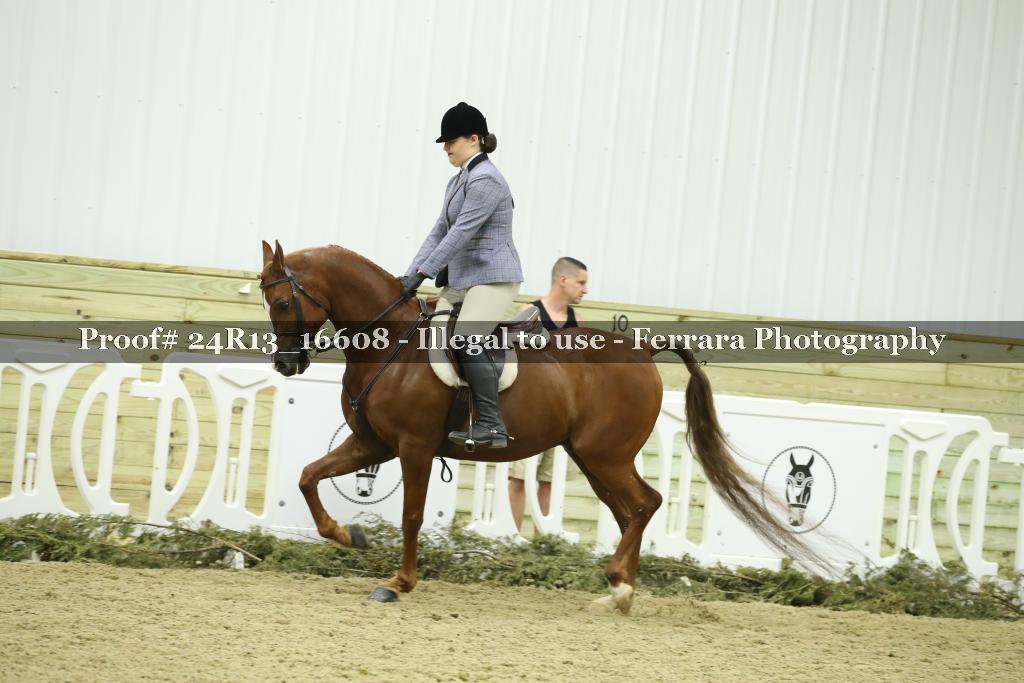 Proof Number 24R13_16608
