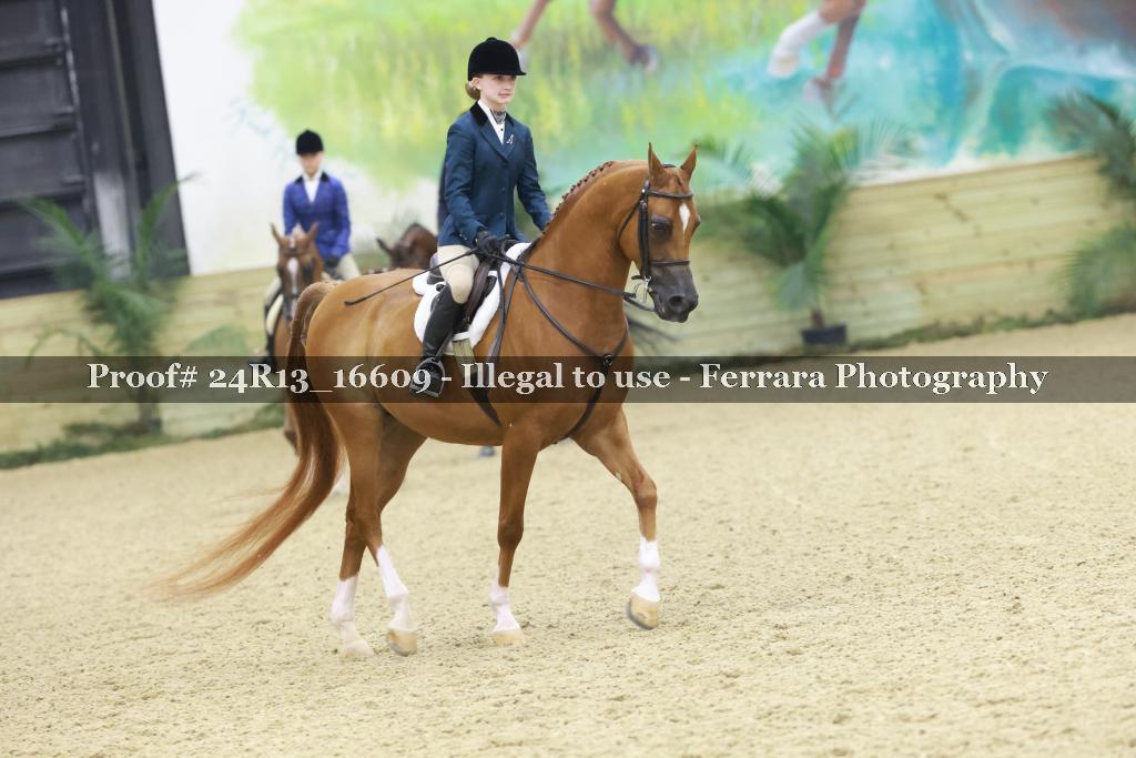 Proof Number 24R13_16609