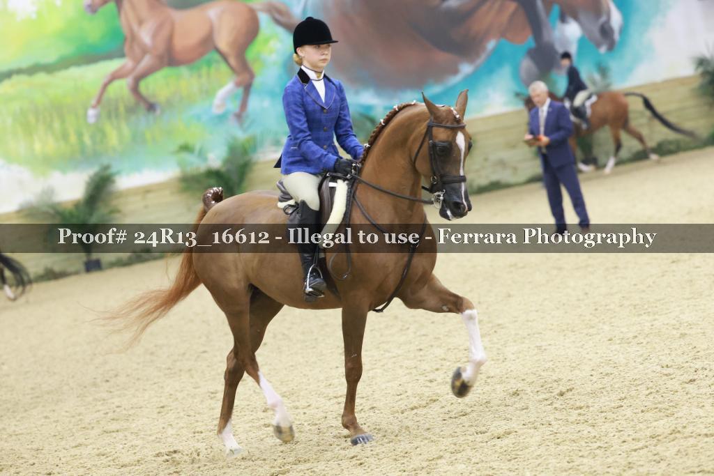 Proof Number 24R13_16612