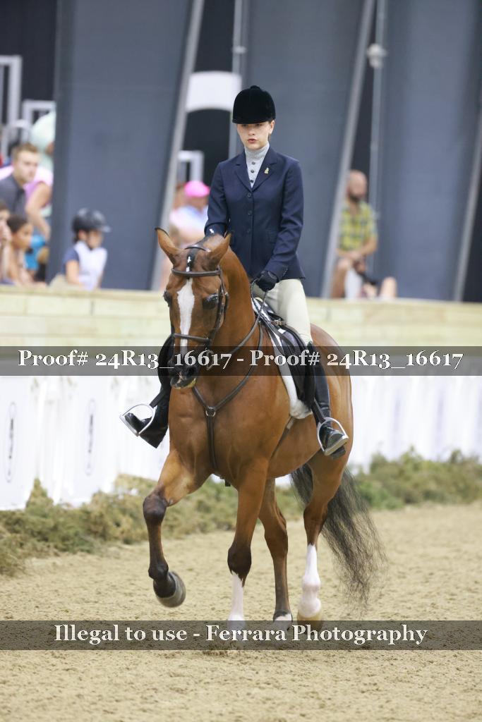 Proof Number 24R13_16617