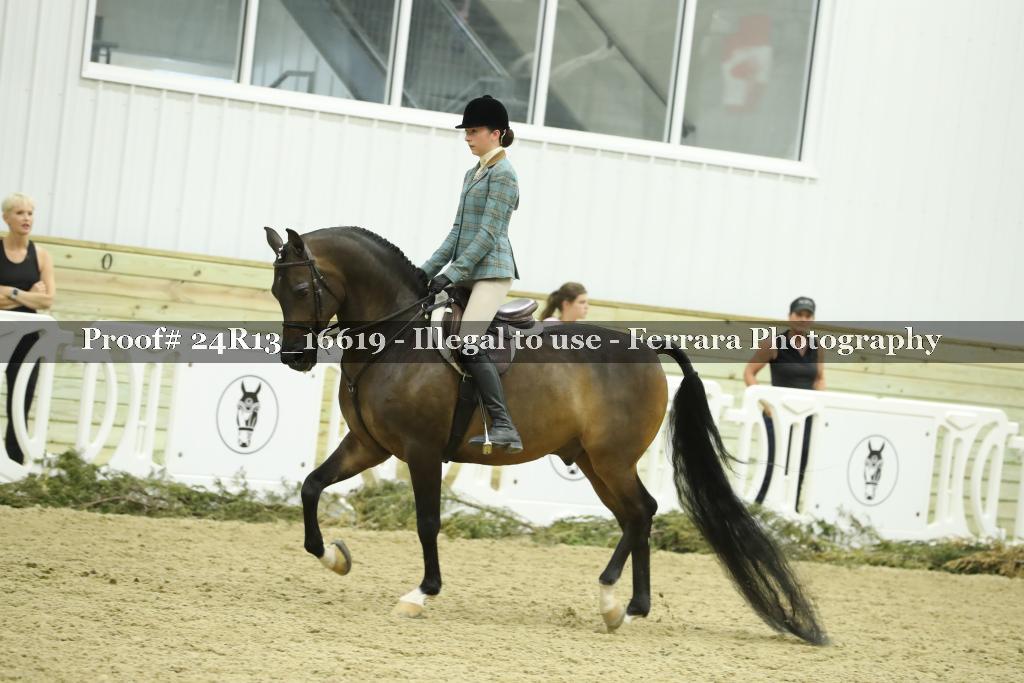 Proof Number 24R13_16619