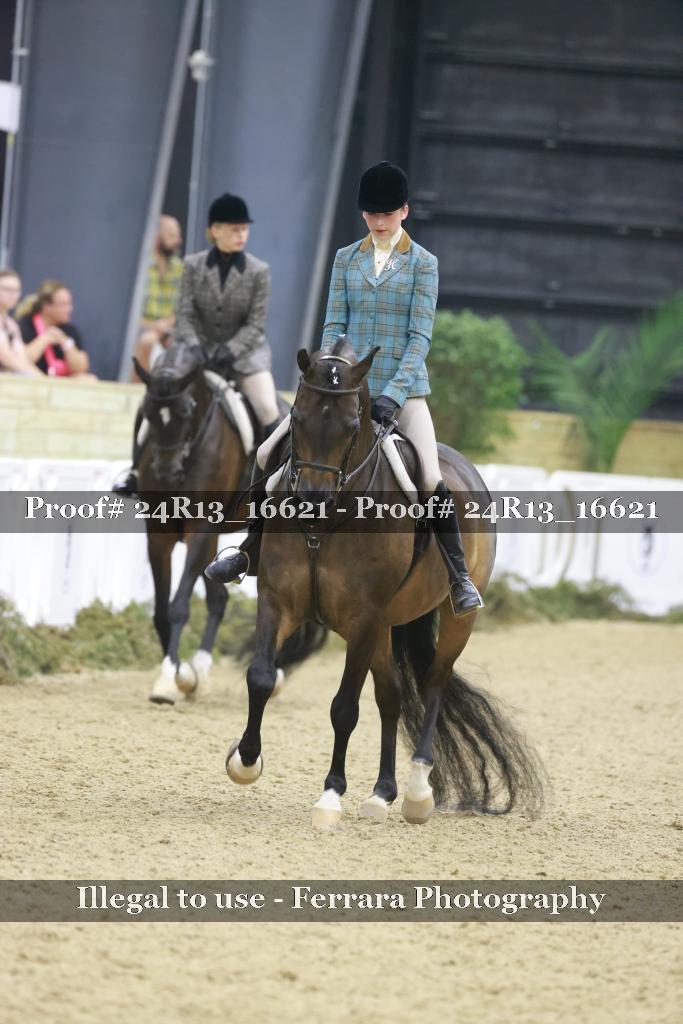 Proof Number 24R13_16621