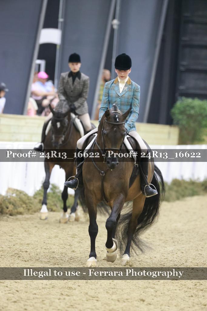 Proof Number 24R13_16622