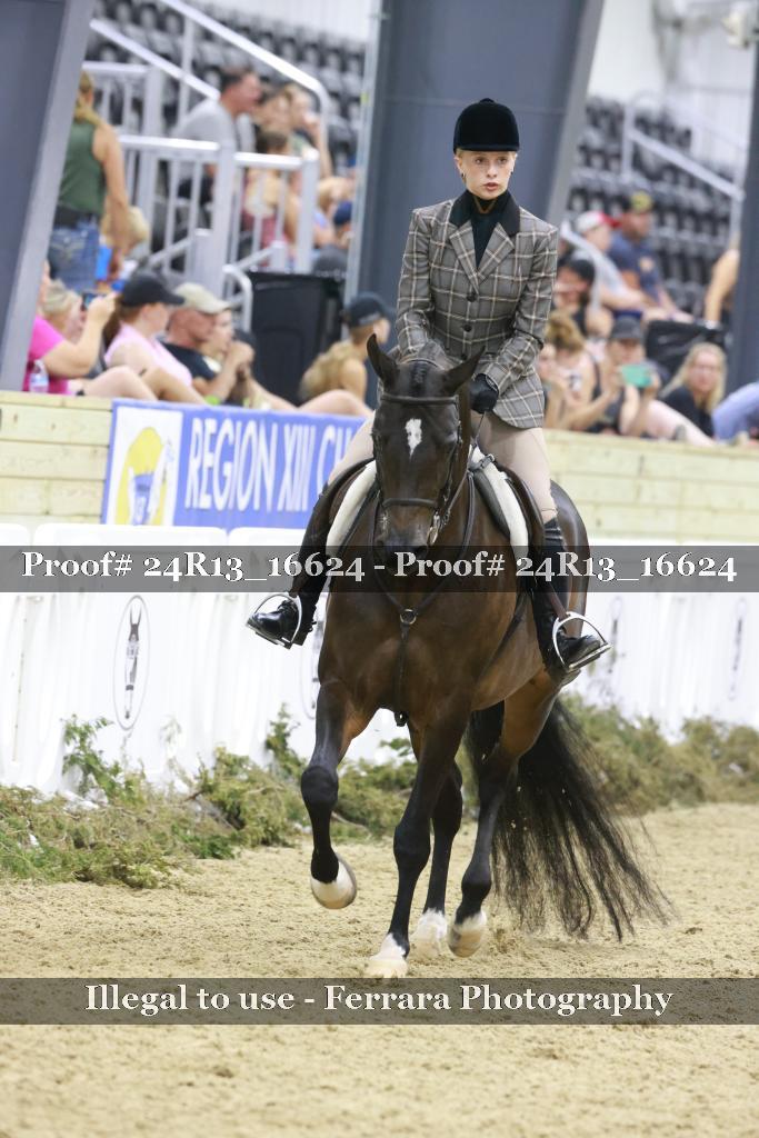 Proof Number 24R13_16624