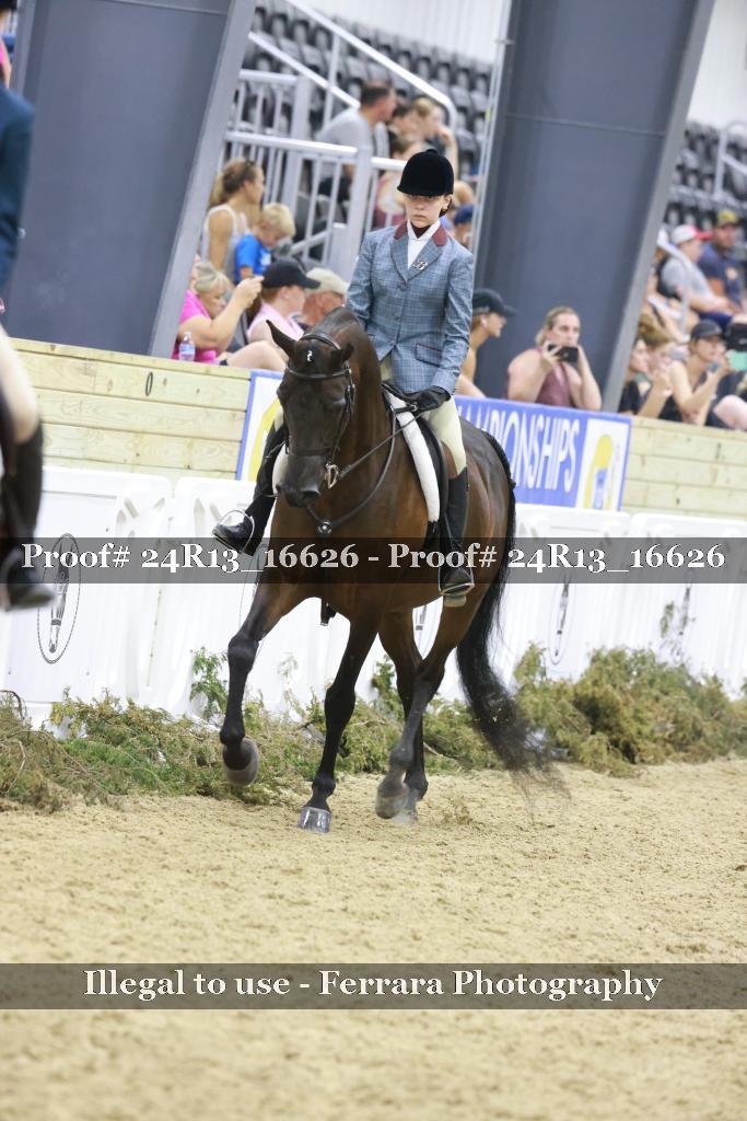 Proof Number 24R13_16626