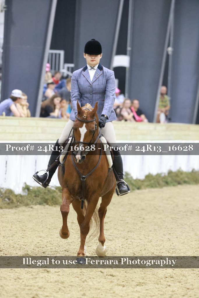 Proof Number 24R13_16628