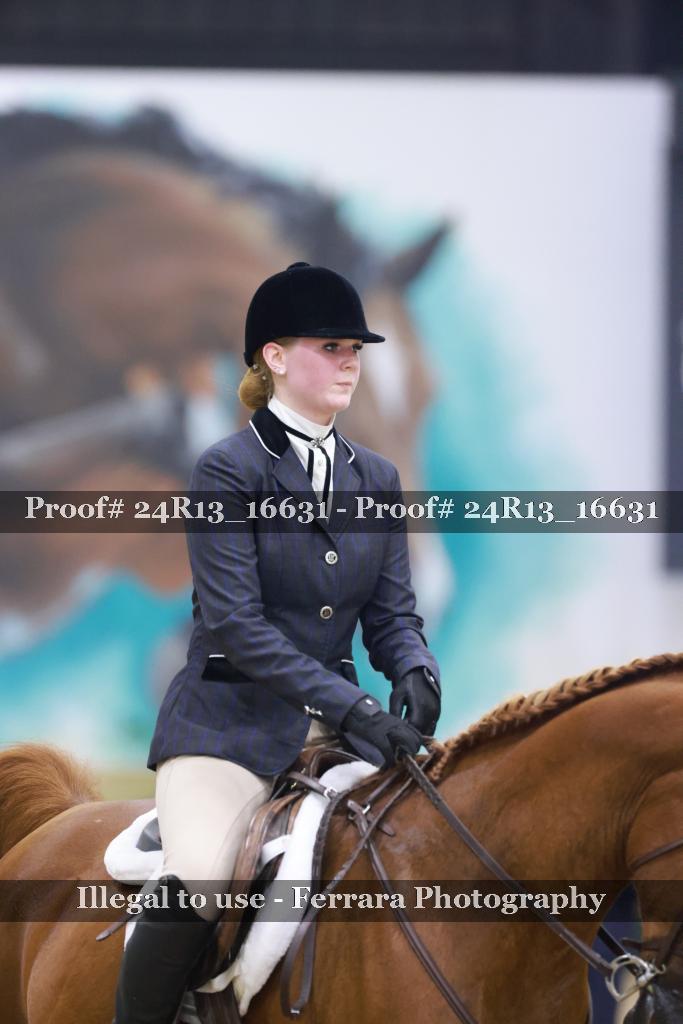 Proof Number 24R13_16631