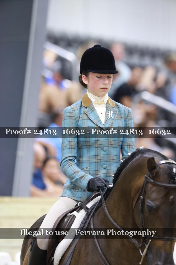 Proof Number 24R13_16632