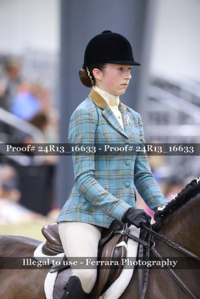 Proof Number 24R13_16633