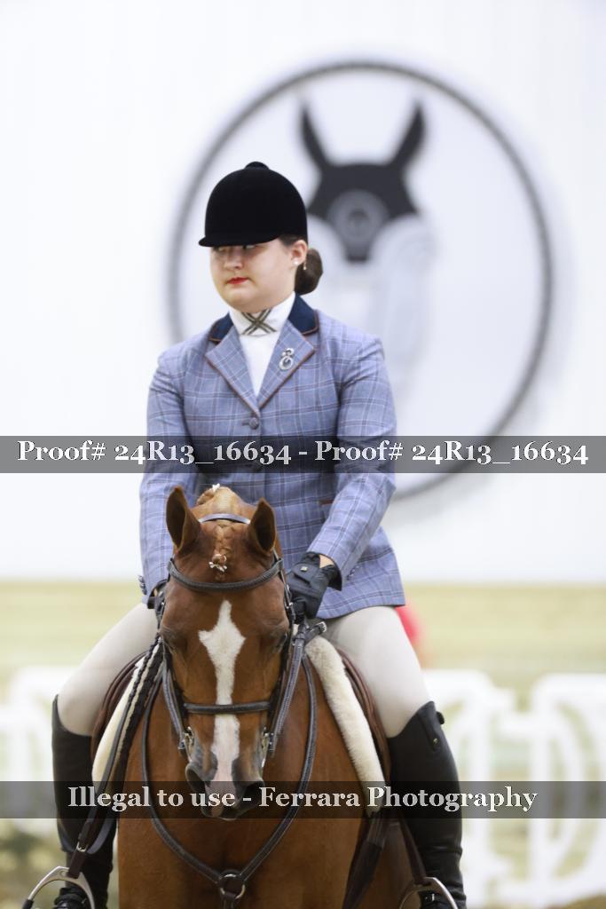Proof Number 24R13_16634