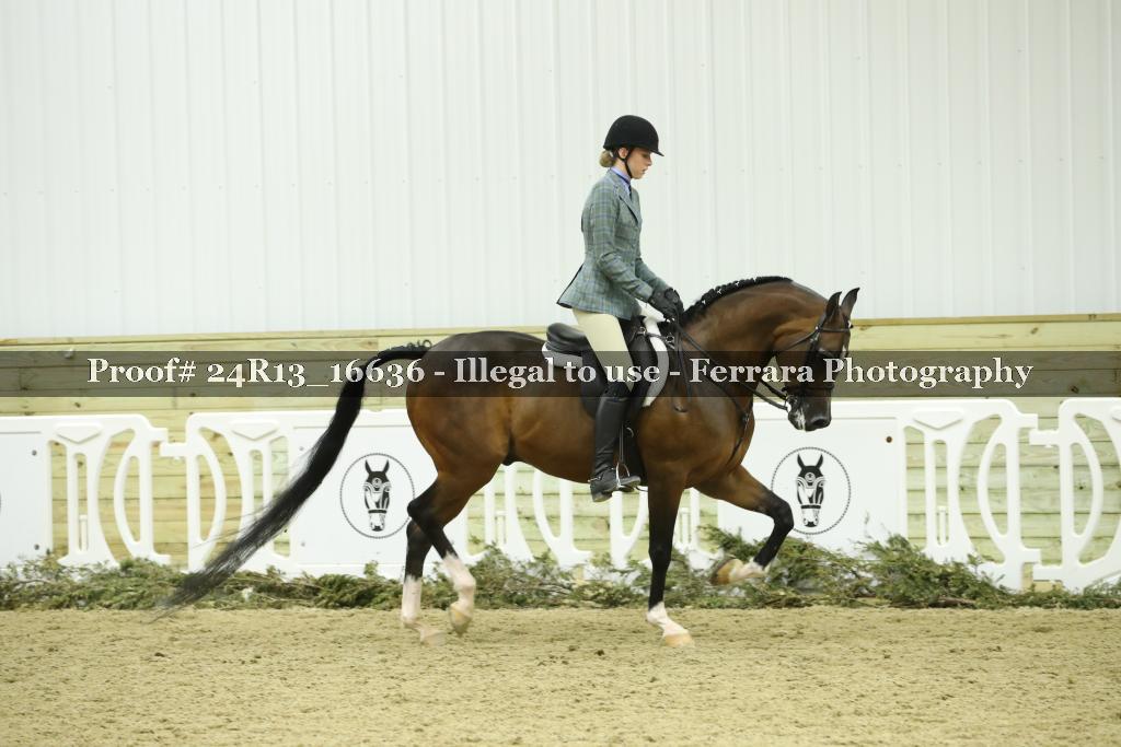 Proof Number 24R13_16636