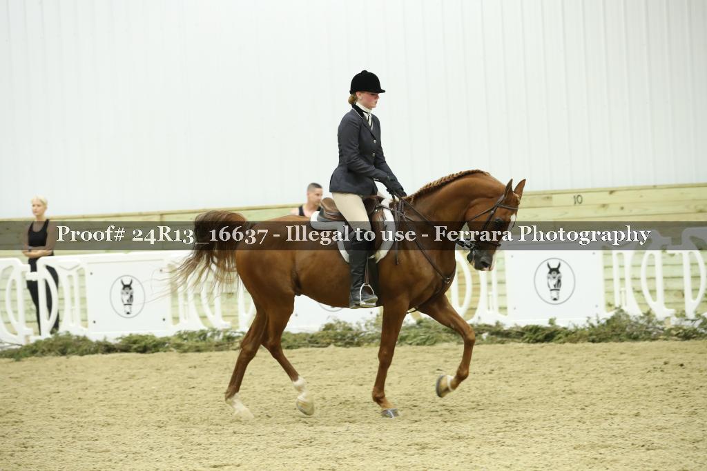 Proof Number 24R13_16637