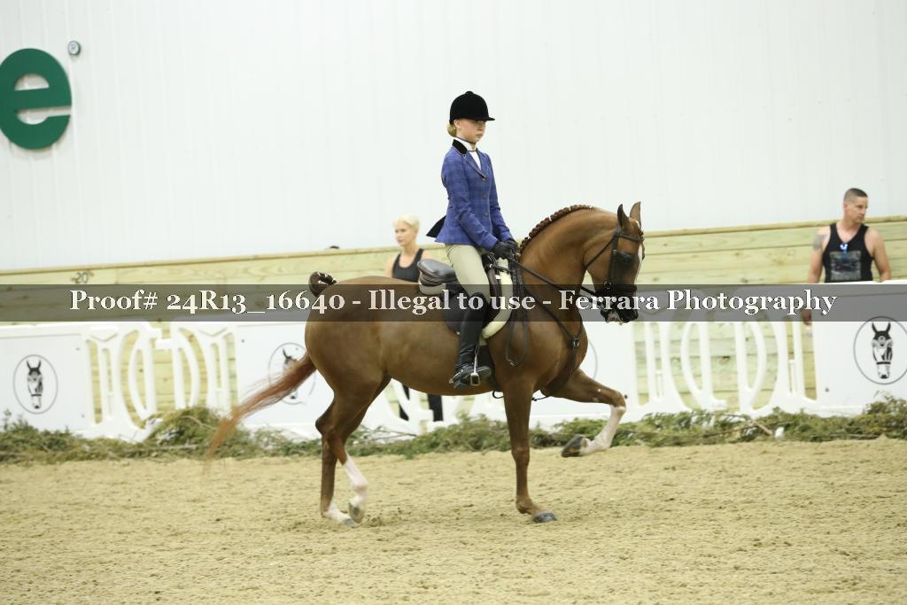 Proof Number 24R13_16640