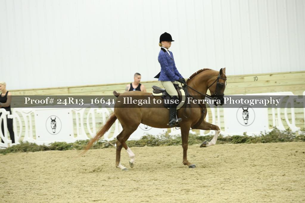 Proof Number 24R13_16641