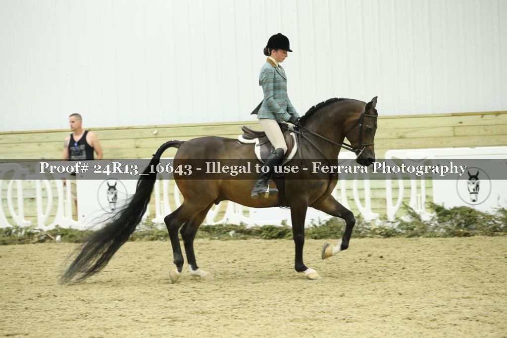 Proof Number 24R13_16643