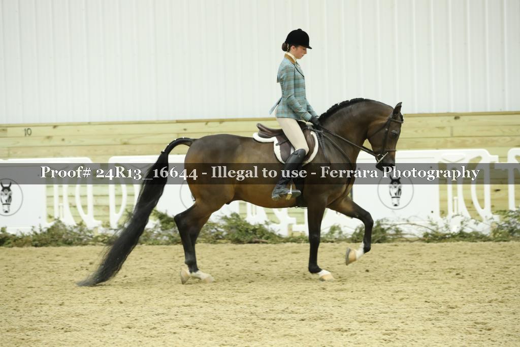 Proof Number 24R13_16644