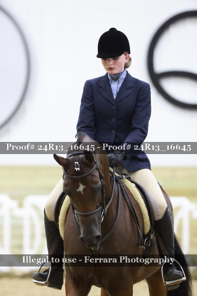 Proof Number 24R13_16645