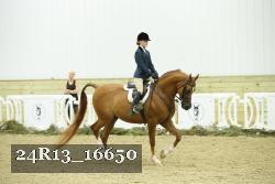 24R13_16650 thumbnail