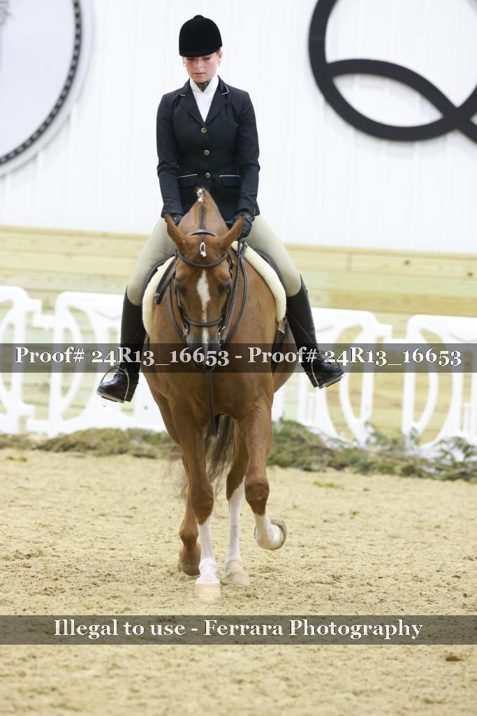 Proof Number 24R13_16653