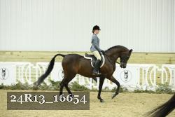 24R13_16654 thumbnail