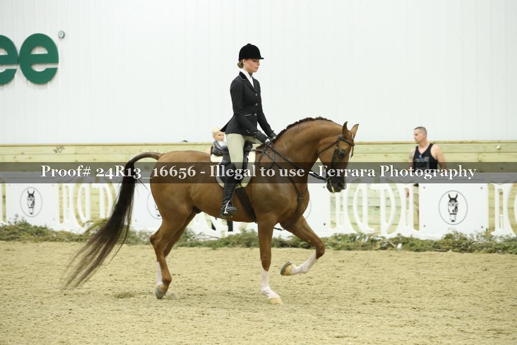 Proof Number 24R13_16656
