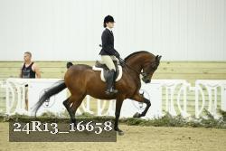 24R13_16658 thumbnail