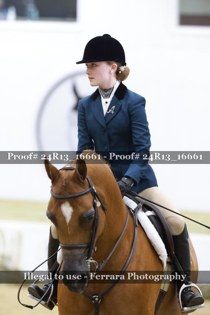 Proof Number 24R13_16661