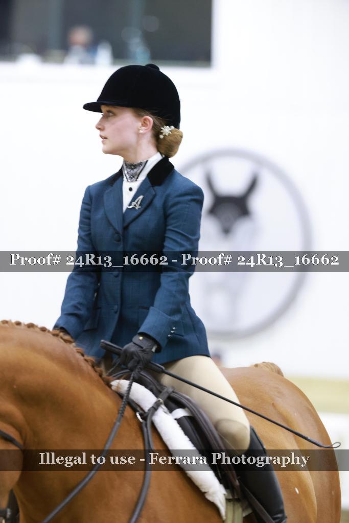 Proof Number 24R13_16662