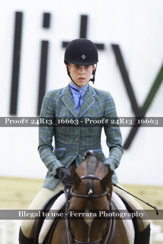 Proof Number 24R13_16663