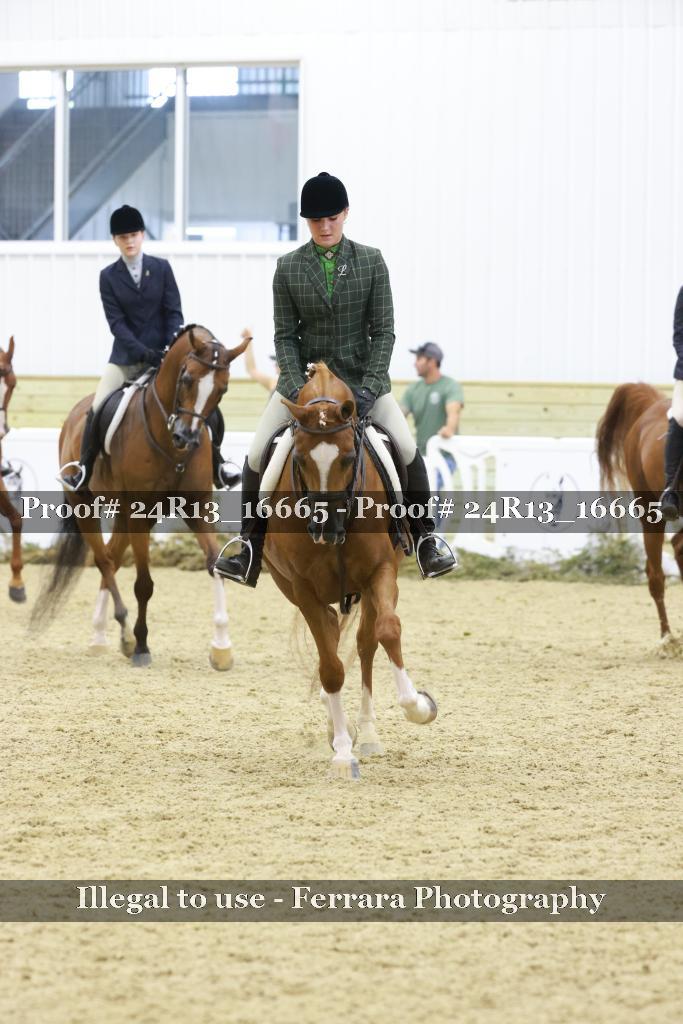Proof Number 24R13_16665