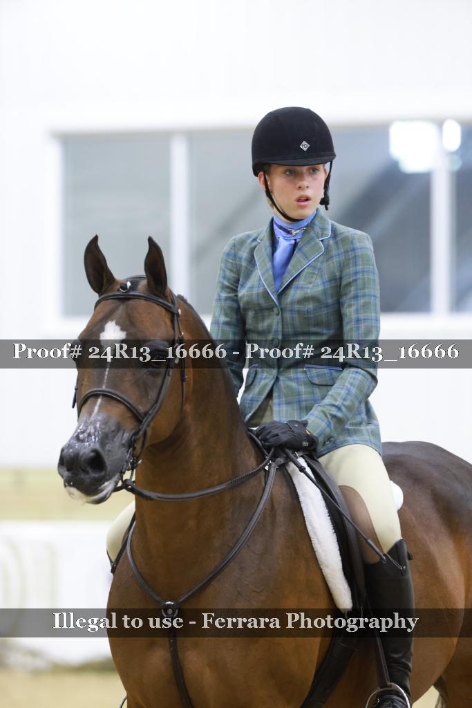 Proof Number 24R13_16666
